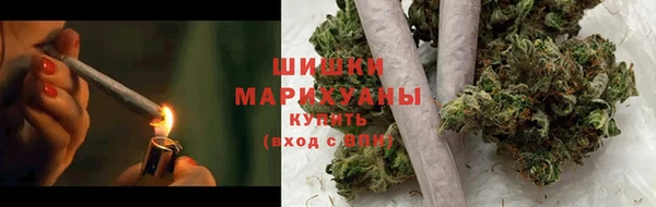 твердый Алзамай