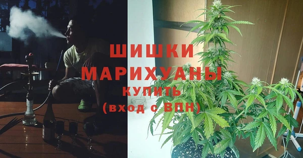твердый Алзамай